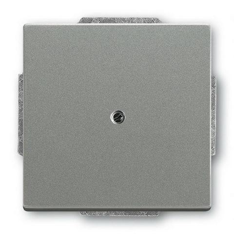 ABB 2CKA001710A3843 - Kryt zaslepovací, s upevňovacím třmenem, metal. šedá (Solo, B-Axc)