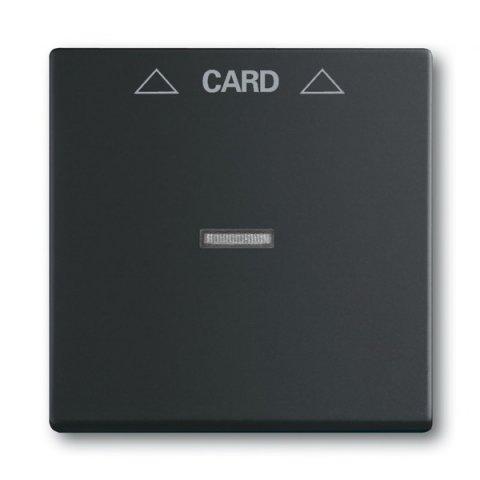 ABB Future linear 2CKA001710A3905-Kryt spínače kartového, s průz.orem,mech.černá