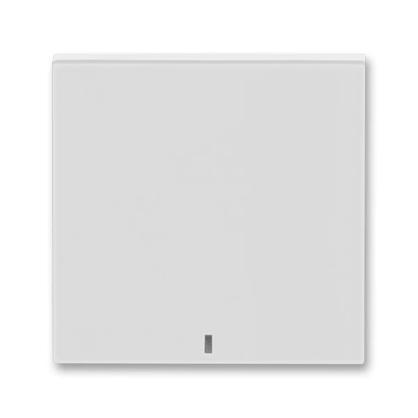 ABB Levit 3559H-A00653 16 Kryt jednoduchý, průzor čirý, šedá/bílá