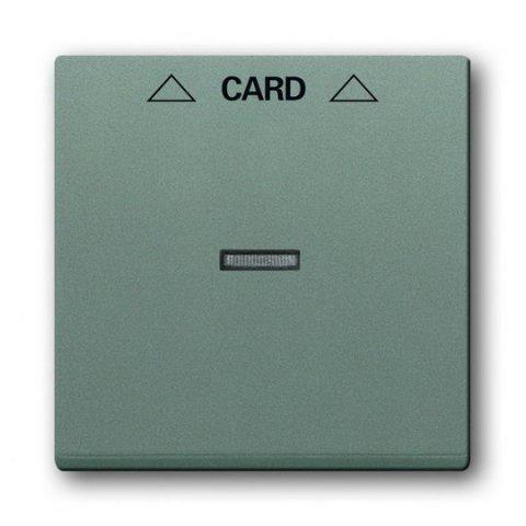 ABB Solo 2CKA001710A4124 - Kryt spínače kartového, s čirým průzorem, metal. šedá